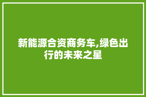 新能源合资商务车,绿色出行的未来之星 汽车配件