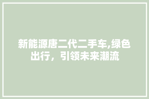 新能源唐二代二手车,绿色出行，引领未来潮流