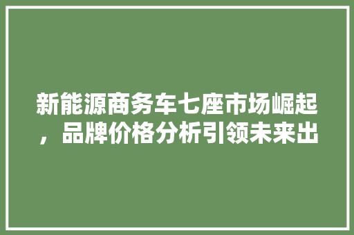 新能源商务车七座市场崛起，品牌价格分析引领未来出行潮流