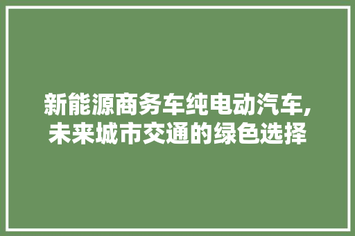 新能源商务车纯电动汽车,未来城市交通的绿色选择