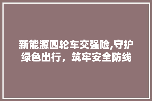 新能源四轮车交强险,守护绿色出行，筑牢安全防线