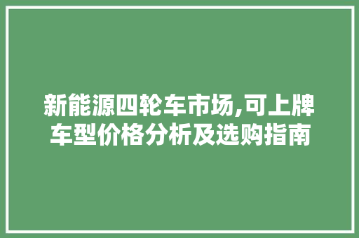 新能源四轮车市场,可上牌车型价格分析及选购指南