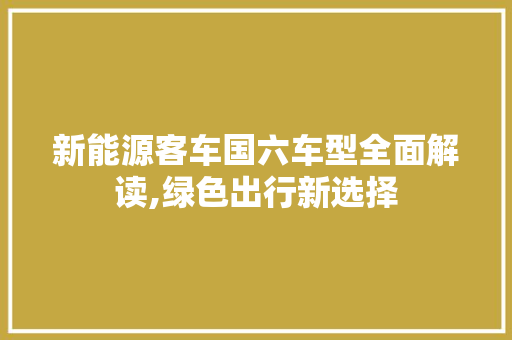 新能源客车国六车型全面解读,绿色出行新选择