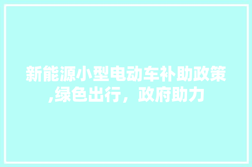 新能源小型电动车补助政策,绿色出行，政府助力