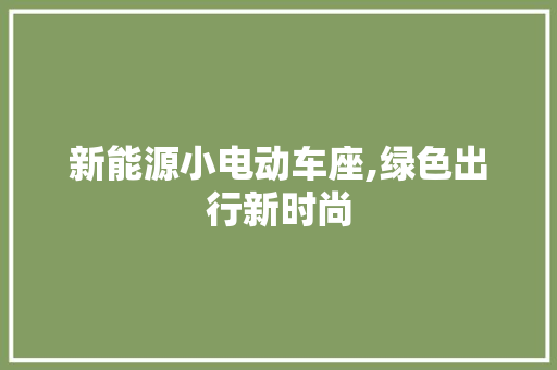 新能源小电动车座,绿色出行新时尚