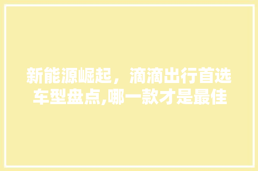 新能源崛起，滴滴出行首选车型盘点,哪一款才是最佳之选