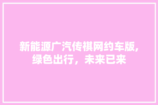 新能源广汽传祺网约车版,绿色出行，未来已来