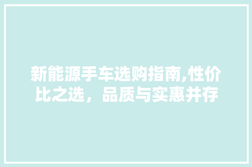 新能源手车选购指南,性价比之选，品质与实惠并存