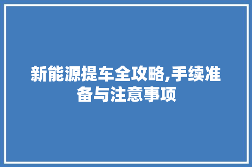 新能源提车全攻略,手续准备与注意事项