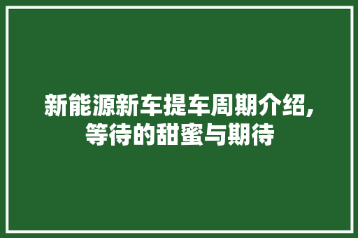 新能源新车提车周期介绍,等待的甜蜜与期待