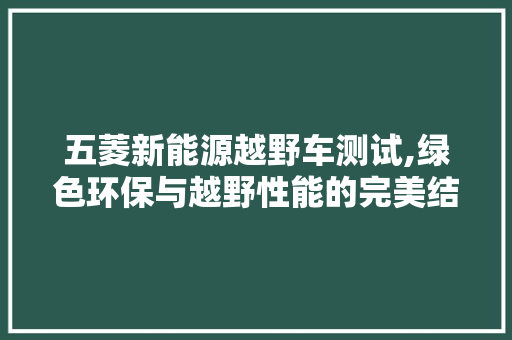 五菱新能源越野车测试,绿色环保与越野性能的完美结合