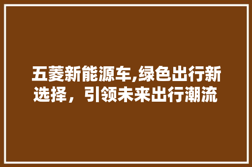 五菱新能源车,绿色出行新选择，引领未来出行潮流