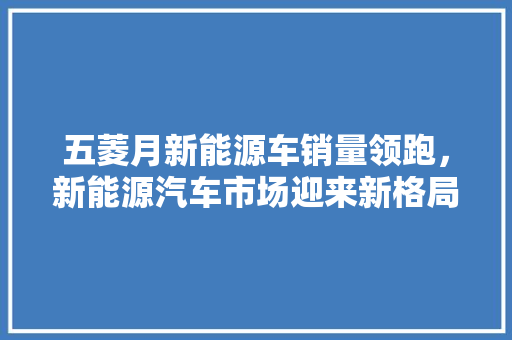 五菱月新能源车销量领跑，新能源汽车市场迎来新格局