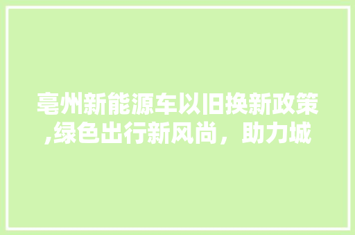 亳州新能源车以旧换新政策,绿色出行新风尚，助力城市环保升级