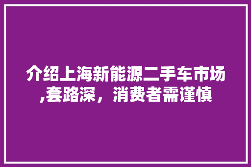 介绍上海新能源二手车市场,套路深，消费者需谨慎