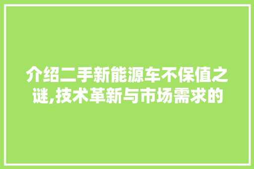 介绍二手新能源车不保值之谜,技术革新与市场需求的博弈