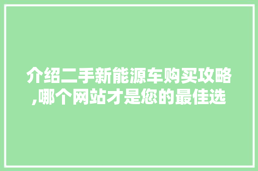 介绍二手新能源车购买攻略,哪个网站才是您的最佳选择