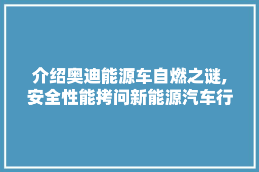 介绍奥迪能源车自燃之谜,安全性能拷问新能源汽车行业