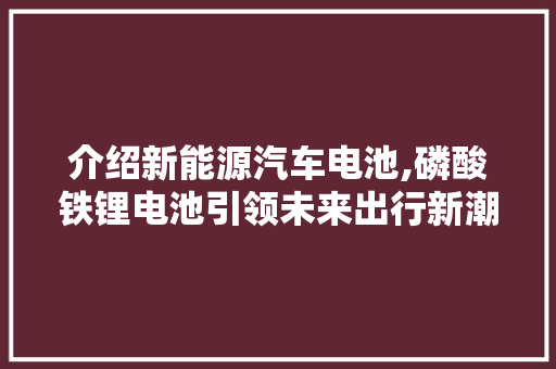 介绍新能源汽车电池,磷酸铁锂电池引领未来出行新潮流 变速箱配件