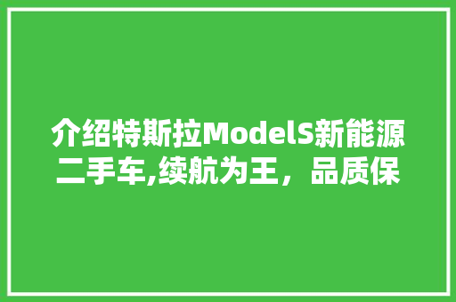 介绍特斯拉ModelS新能源二手车,续航为王，品质保障
