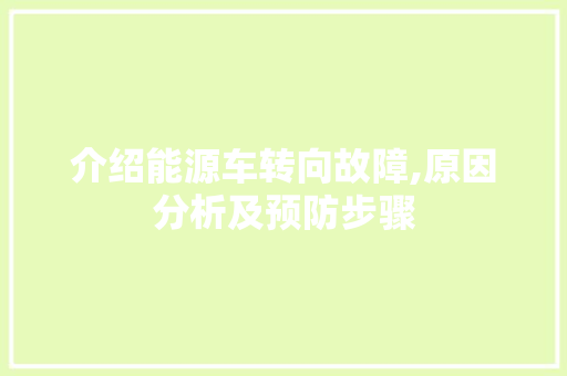 介绍能源车转向故障,原因分析及预防步骤