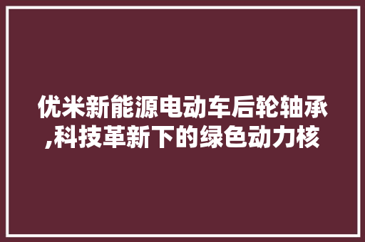 优米新能源电动车后轮轴承,科技革新下的绿色动力核心