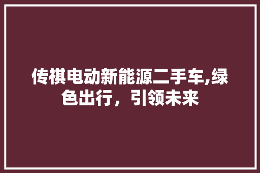 传祺电动新能源二手车,绿色出行，引领未来