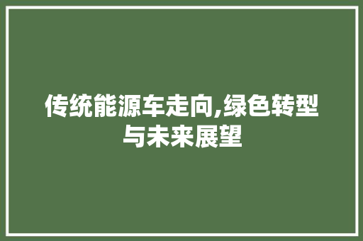 传统能源车走向,绿色转型与未来展望 新能源汽车