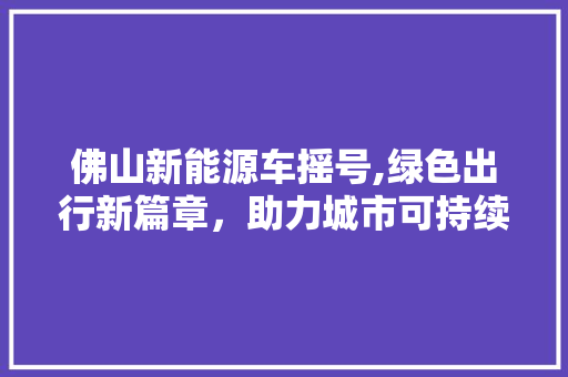 佛山新能源车摇号,绿色出行新篇章，助力城市可持续发展