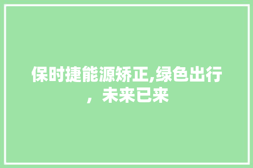 保时捷能源矫正,绿色出行，未来已来