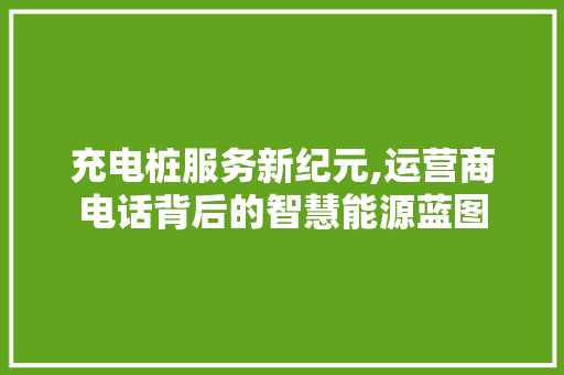 充电桩服务新纪元,运营商电话背后的智慧能源蓝图 车灯配件