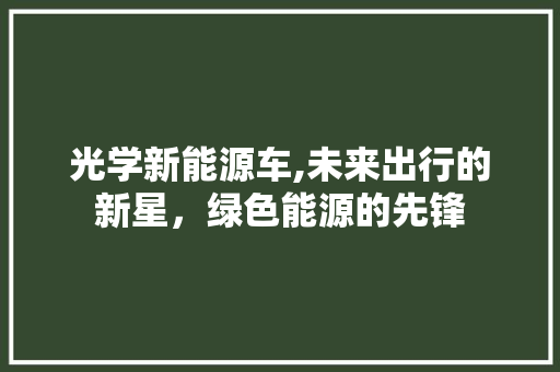 光学新能源车,未来出行的新星，绿色能源的先锋