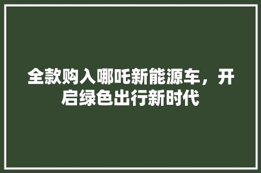 全款购入哪吒新能源车，开启绿色出行新时代