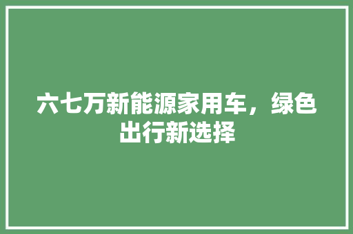 六七万新能源家用车，绿色出行新选择
