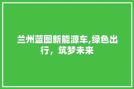 兰州蓝图新能源车,绿色出行，筑梦未来