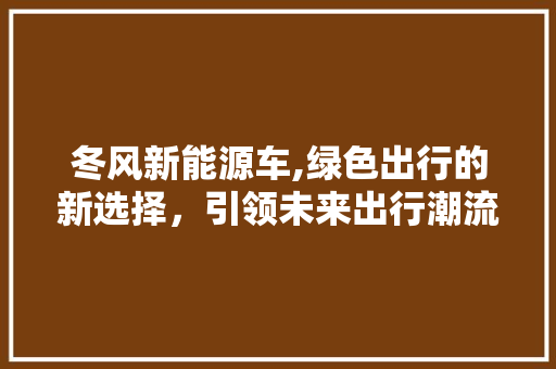 冬风新能源车,绿色出行的新选择，引领未来出行潮流