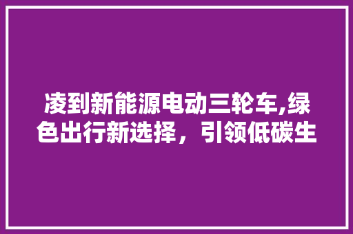 凌到新能源电动三轮车,绿色出行新选择，引领低碳生活新风尚