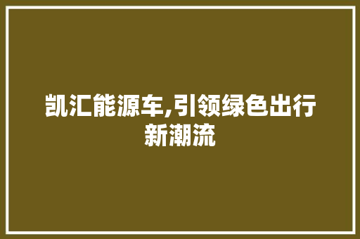 凯汇能源车,引领绿色出行新潮流