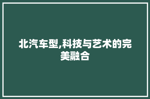 北汽车型,科技与艺术的完美融合