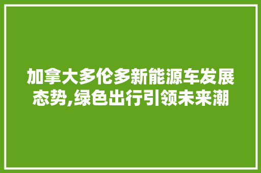 加拿大多伦多新能源车发展态势,绿色出行引领未来潮流