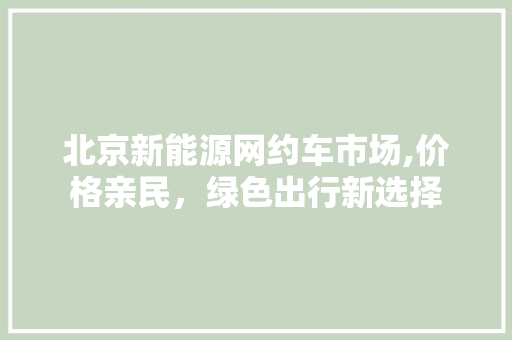 北京新能源网约车市场,价格亲民，绿色出行新选择