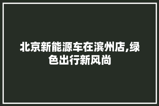 北京新能源车在滨州店,绿色出行新风尚