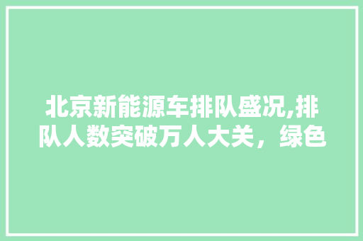 北京新能源车排队盛况,排队人数突破万人大关，绿色出行热潮席卷而来