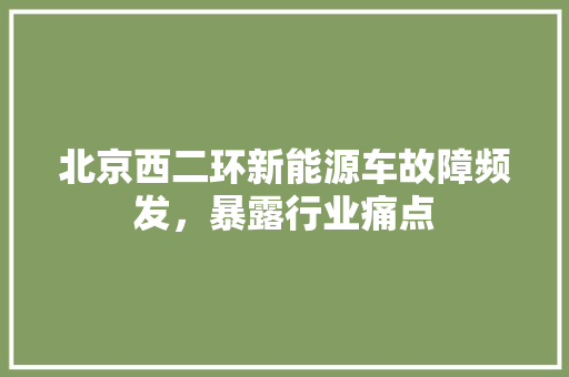 北京西二环新能源车故障频发，暴露行业痛点