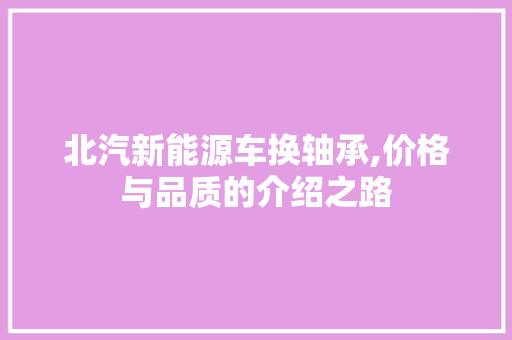 北汽新能源车换轴承,价格与品质的介绍之路