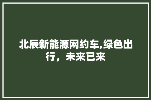 北辰新能源网约车,绿色出行，未来已来 发动机配件