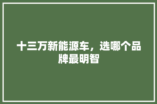 十三万新能源车，选哪个品牌最明智