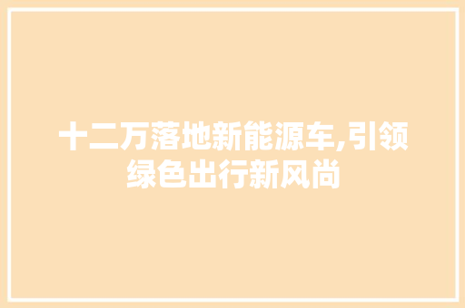十二万落地新能源车,引领绿色出行新风尚