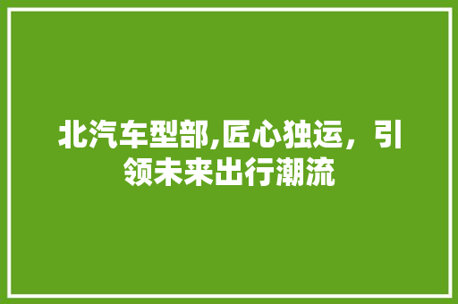 北汽车型部,匠心独运，引领未来出行潮流