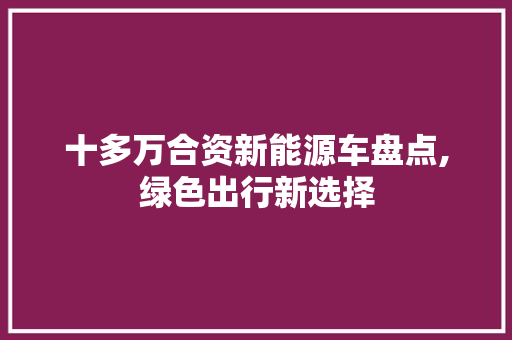 十多万合资新能源车盘点,绿色出行新选择